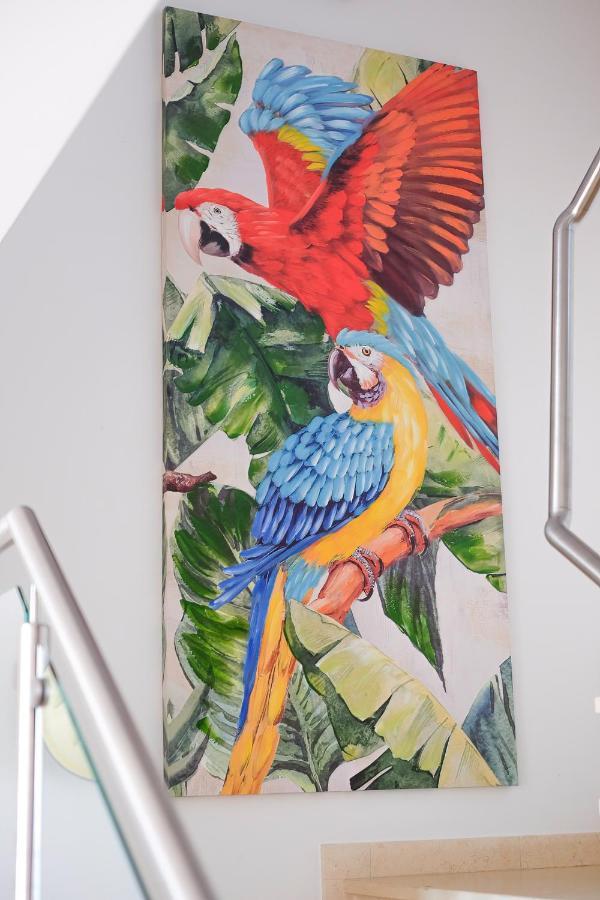 Amazing Views Casa Hummingbird Apartment Lagos Bagian luar foto